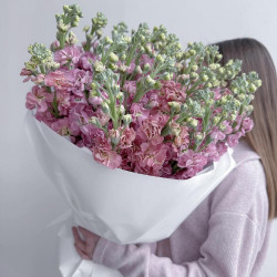 Букет из 19 малиновых маттиол